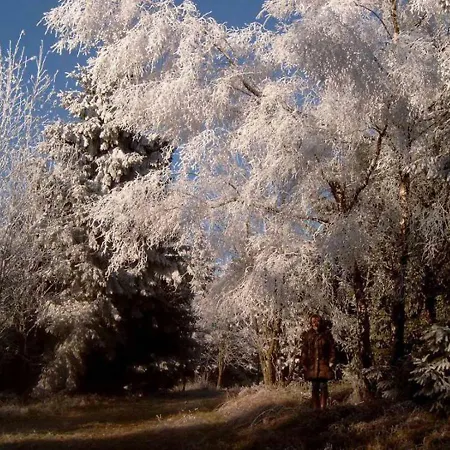 Haus Edelweiss Winterberg