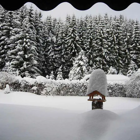 Haus Edelweiss Lejlighed *