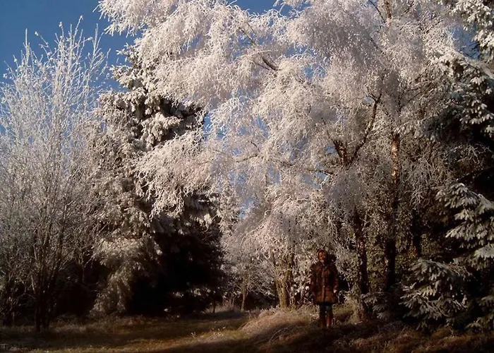 Haus Edelweiss Винтерберг