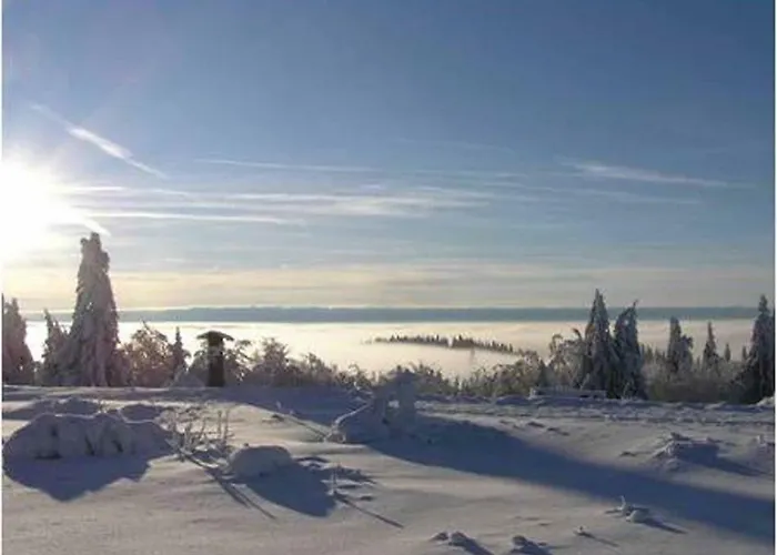 Haus Edelweiss Appartement Winterberg