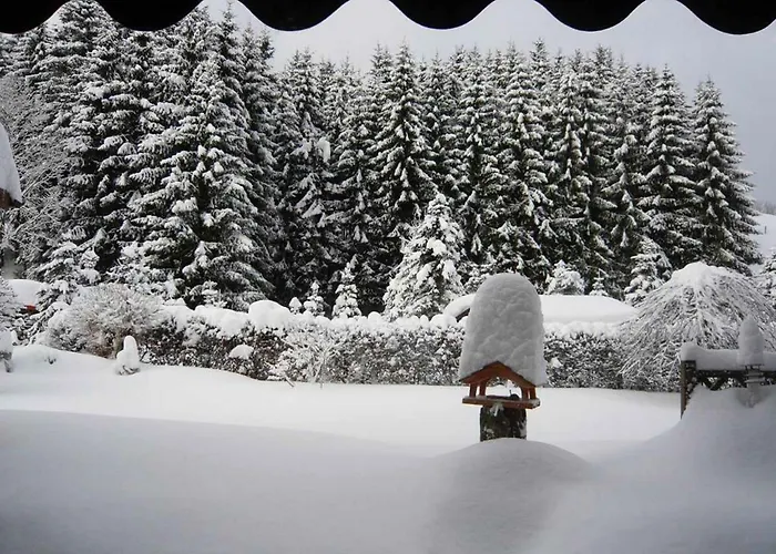 Haus Edelweiss Appartement *